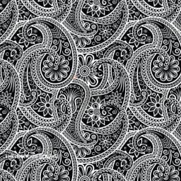 Black Paisley view 1