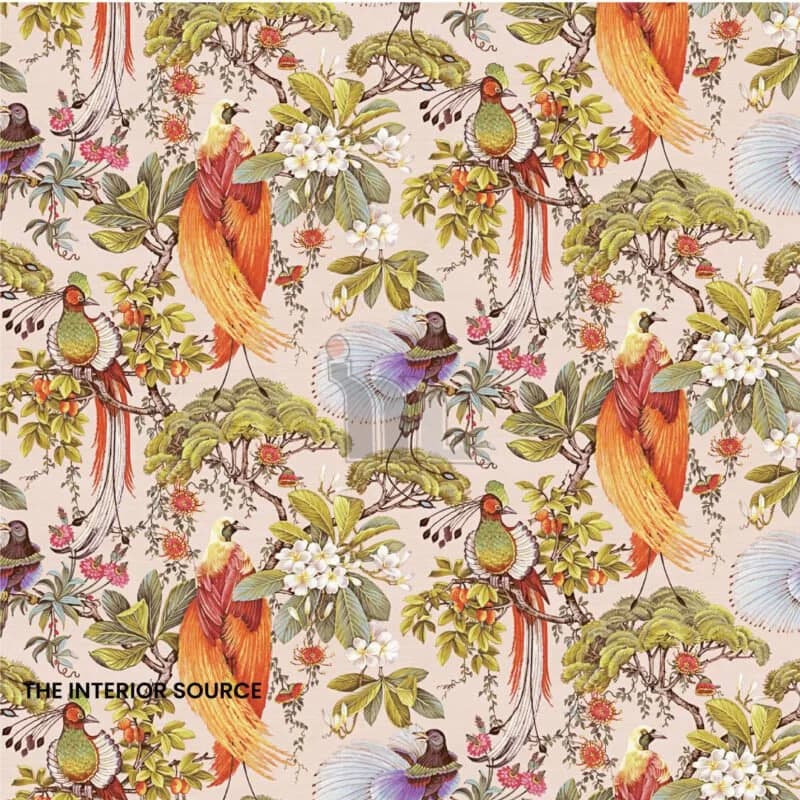 Paradise Birds