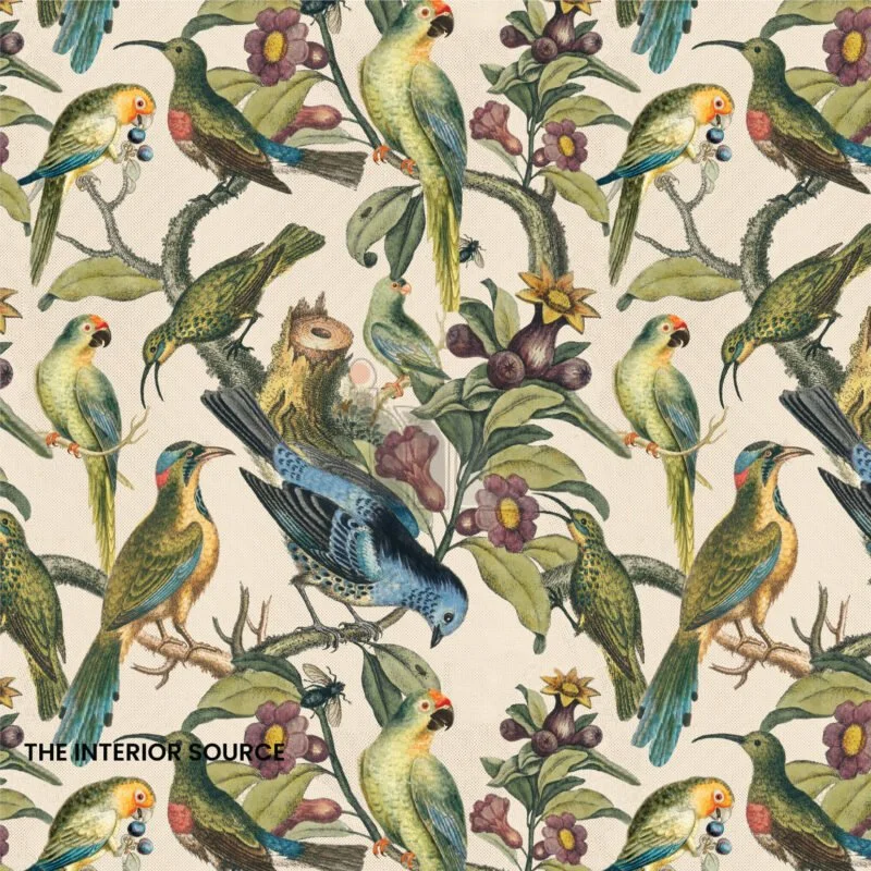 Jungle Birds